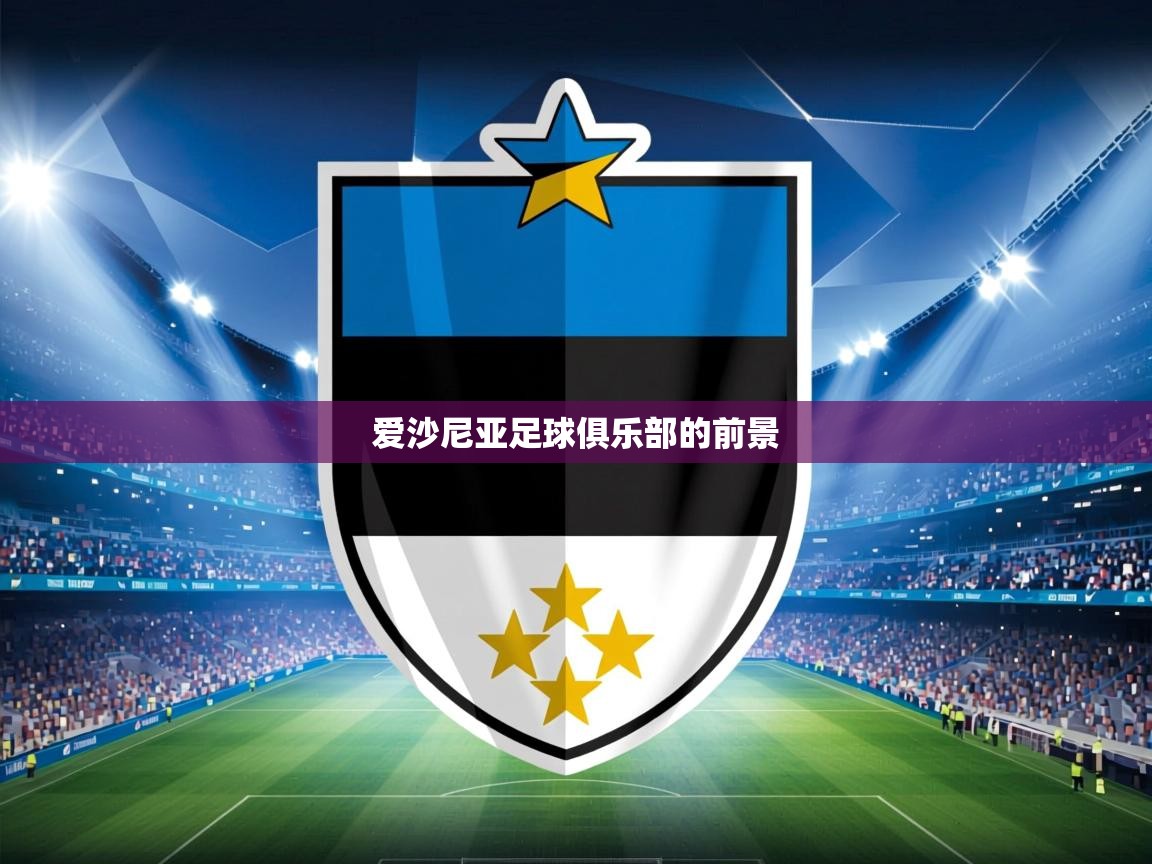 2026开云体育官网入口爱沙尼亚足球俱乐部的前景